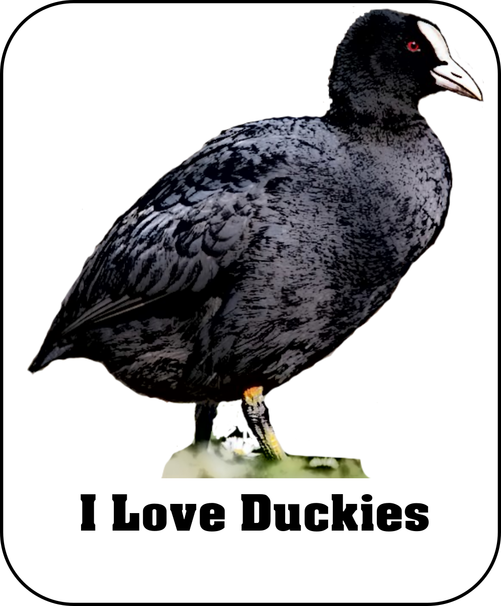 Duckie homepage logo.